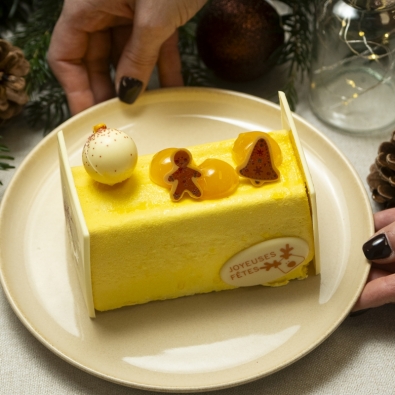 La bûche exotique 6-7 personnes 